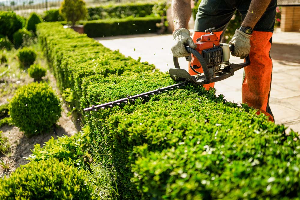 Garten- und Landschaftspflege 